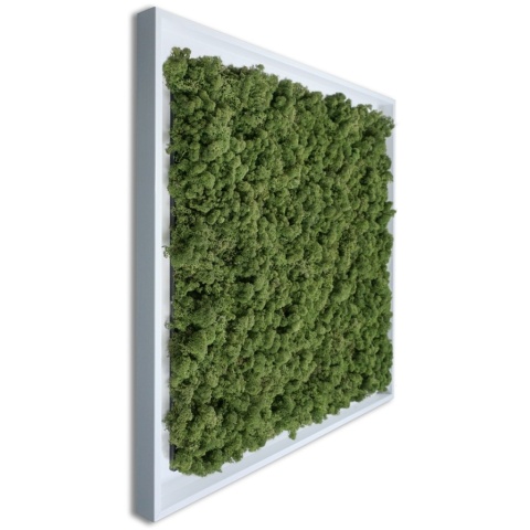 Panou decorativ , Muschi, My Torvtak Moss Green - Img 2