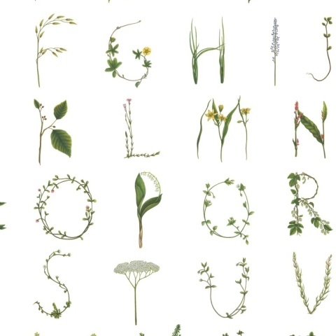 Tapet Floral Alphabet Mini, English, Rebel Walls, 5 mp / rola - Img 2