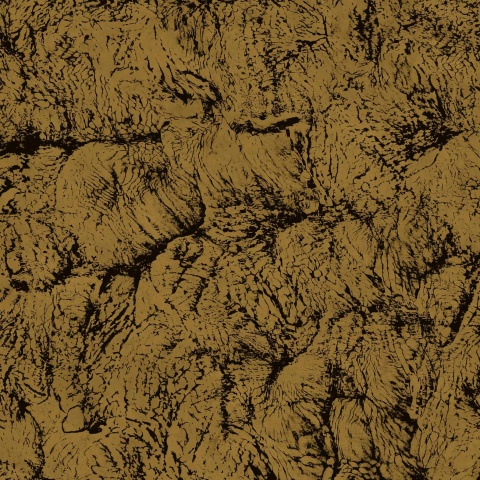 Tapet, Sepia, Gold, Coordonne, 5mp / rola - Img 2