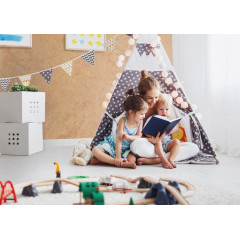 Aditiv de igienizare VH 2020 pentru interior - Img 2