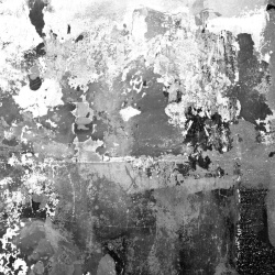 Fototapet, Charcoal, Rebel Walls - Img 2