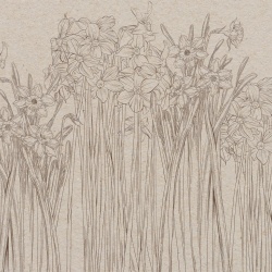 Fototapet, Daffodil, Beige, Rebel Walls - Img 2