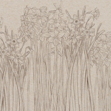 Fototapet, Daffodil, Beige, Rebel Walls - Img 2