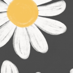 Fototapet, Dashing Daisies, Midnight, Rebel Walls - Img 8