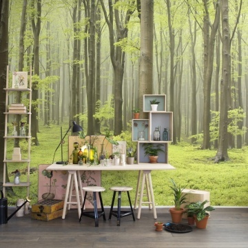 Fototapet, Deciduous Forest, Rebel Walls - Img 5