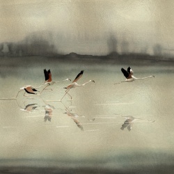 Fototapet Doñana, Gold, Coordonne - Img 2