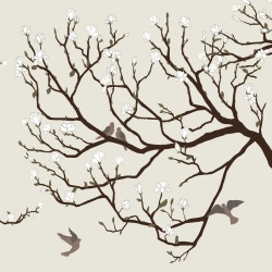 Fototapet Doves at my window, VLAdiLA - Img 2