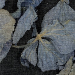 Fototapet, Fragile Beauty, Dark Blue, Rebel Walls - Img 4