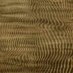 Fototapet Harenae, Gold, Coordonne - Img 2