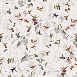 Fototapet, Hummingbird, Light, Rebel Walls - Img 2