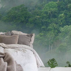 Fototapet, Misty Forest, Rebel Walls - Img 3