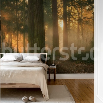 Fototapet, Misty Morning, Soft, Rebel Walls - Img 3