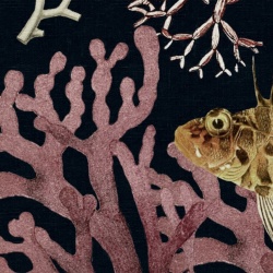 Fototapet, Ocean Life, Night, Rebel Walls - Img 4