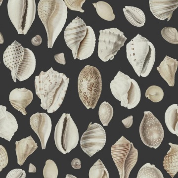 Fototapet, Ocean Shells, Graphite, Rebel Walls - Img 2