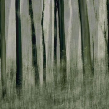 Fototapet, Painted Trees, Rebel Walls - Img 2