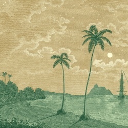 Fototapet, Palm Beach, Yellow, Rebel Walls - Img 2