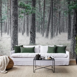 Fototapet, Pine Forest, Rebel Walls