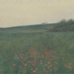 Fototapet, Poppy Landscape, Dawn, Rebel Walls - Img 2