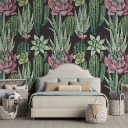 Fototapet Succulents, VLAdiLA