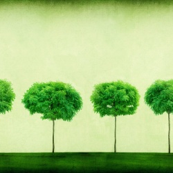 Fototapet, Three Trees, Rebel Walls - Img 2