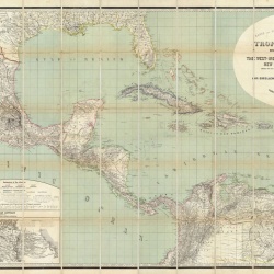 Fototapet, Tropical America, Rebel Walls - Img 5