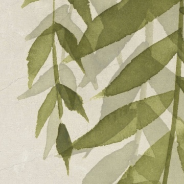 Fototapet, Whispers of Bamboo, Green, Rebel Walls - Img 4