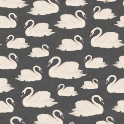 Fototapet, Whooper Swan, Black, Rebel Walls - Img 5