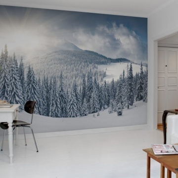 Fototapet, Winter, Rebel Walls - Img 3