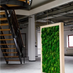 Panou decorativ din muschi, Gamme Cushion Moss - Img 5