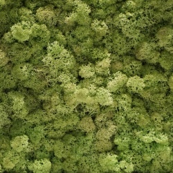 Panou decorativ din muschi, Torvtak Icemoss Mint Green - Img 4