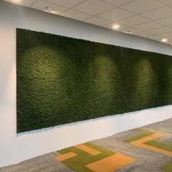 Panou decorativ din muschi, Torvtak Icemoss Moss Green - Img 9