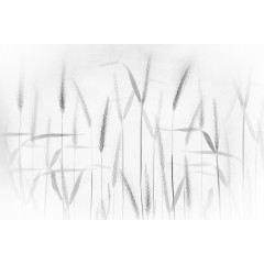 Tapet Grain, Rebel Walls - Img 2