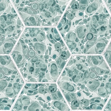 Tapet Marbled Hexagon Tiles, Green, Rebel Walls, 5 mp / rola - Img 2