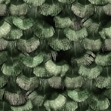 Tapet Petite Peackock Plumage, Jade, Rebel Walls, 5 mp / rola - Img 2