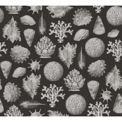 Tapet Seashells, Graphite, Rebel Walls - Img 2