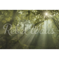 Tapet Sun Rays, Rebel Walls - Img 2