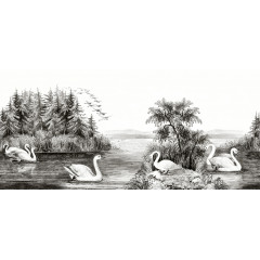 Tapet Swan Lake, Rebel Walls - Img 2