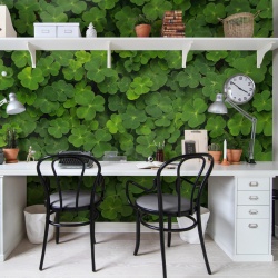 Fototapet, 3D Clover, Rebel Walls - Img 1