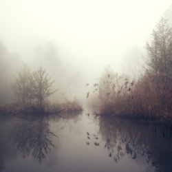 Fototapet, Autumn Pond, Rebel Walls - Img 5