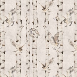 Fototapet Birch and Owls - White, Kikki Belle - Img 2