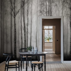 Fototapet, Birch Fog, Black & White, Rebel Walls