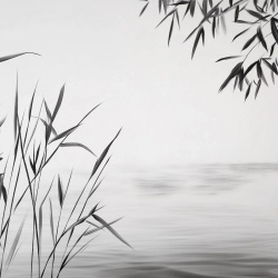 Fototapet Botanic Asahii Suiren Rêve AS201