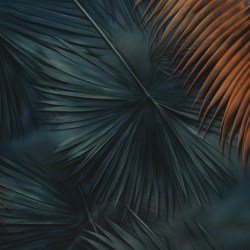Fototapet Botanic Minimalisme Nuit Rêve MN108