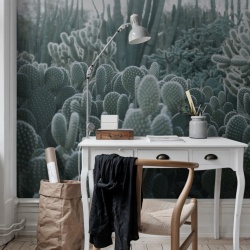 Fototapet, Cacti, Rebel Walls