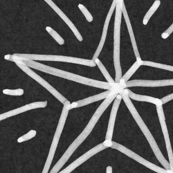 Fototapet, Doodle, Black, Rebel Walls - Img 8