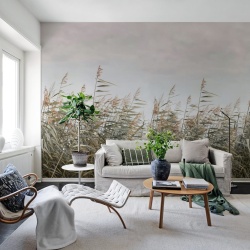 Fototapet, Dreamy Reed, Beige, Rebel Walls
