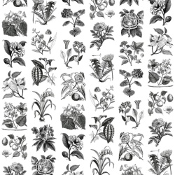 Fototapet, Fruit & Flora, Rebel Walls - Img 2