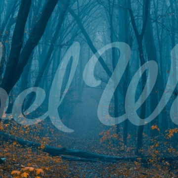 Fototapet, Hazy Forest, Rebel Walls - Img 2