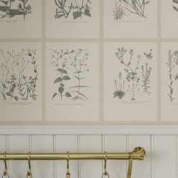 Fototapet lavabil, Botanica, Graphite, Sandberg - Img 3