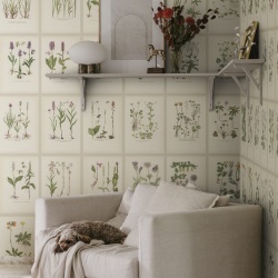 Fototapet lavabil, Botanica, Oat, Sandberg